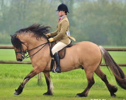 Frazer Atherden